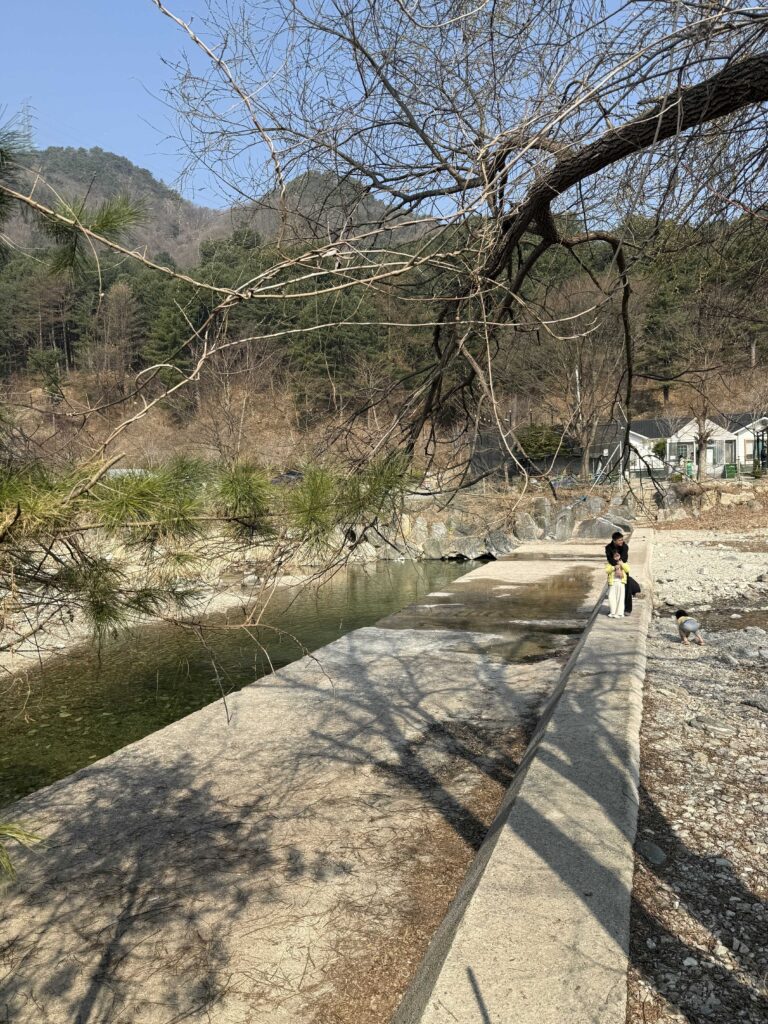 Camping site setup with tarp cover and private facilities