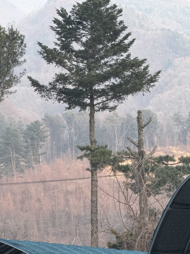 Campfire burning at night at the campsite