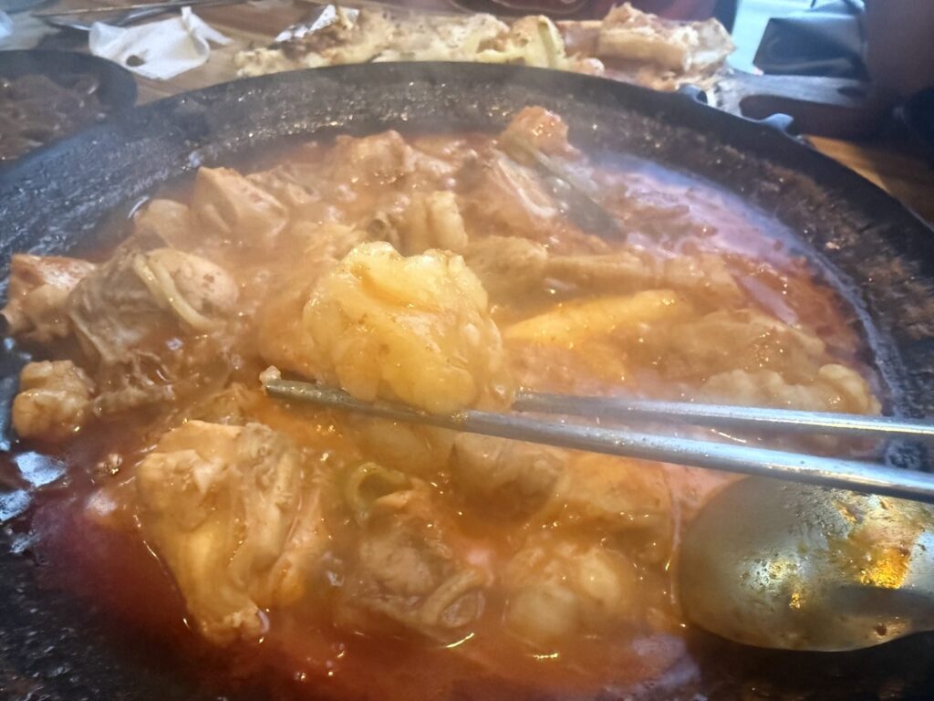 A chicken drumstick from the stew