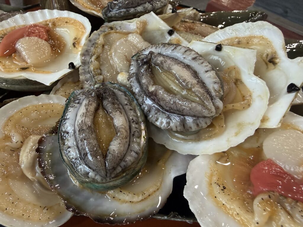 Abalone and scallops in the pile of shellfish